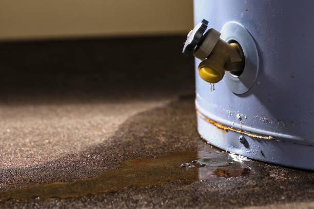 Best Professional water damage repair  in Agency Village, SD