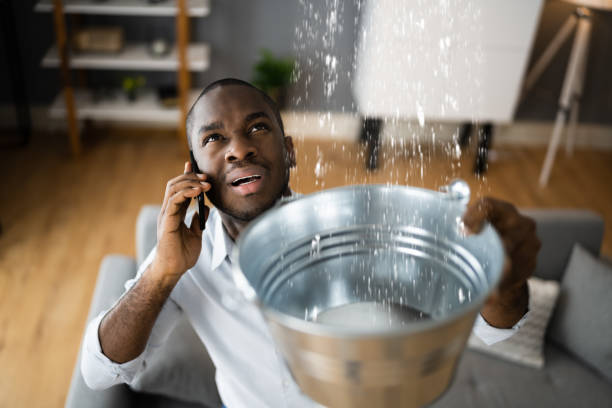 Best Water damage restoration mold remediation  in Agency Village, SD