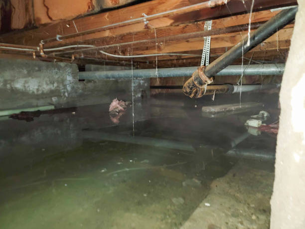 Best Water damage restoration cost  in Agency Village, SD