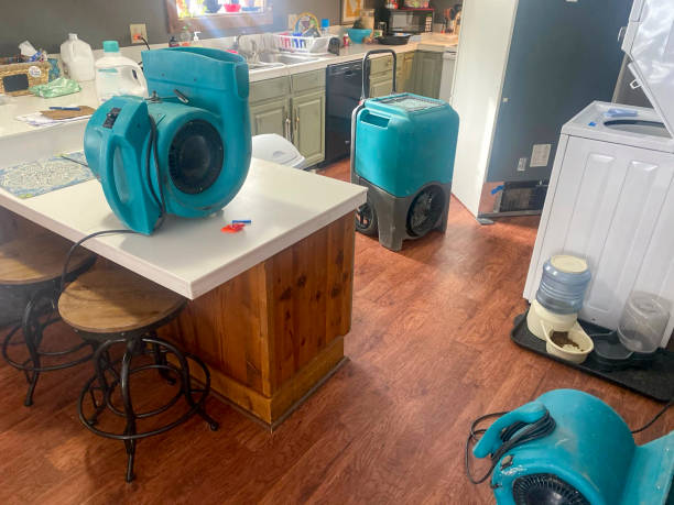 Best Water damage restoration near me  in Agency Village, SD