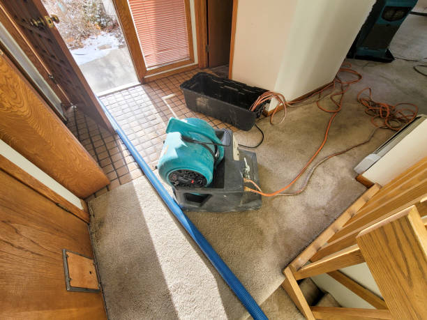 Best Sewage cleanup and water damage restoration  in Agency Village, SD