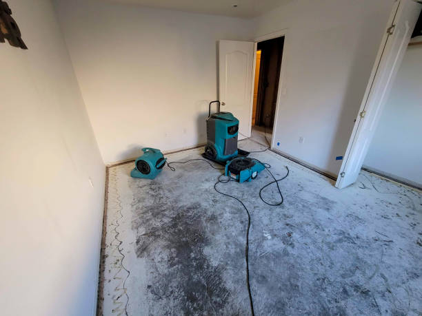Best Water damage cleanup near me  in Agency Village, SD