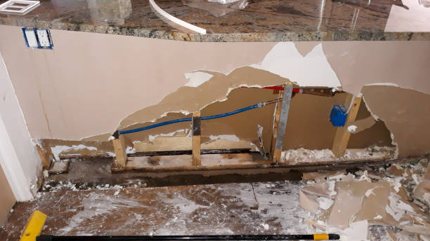 Best Water damage restoration company  in Agency Village, SD