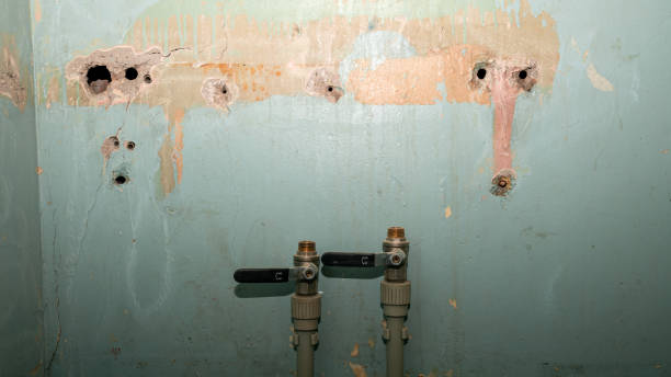 Best Basement water damage restoration  in Agency Village, SD