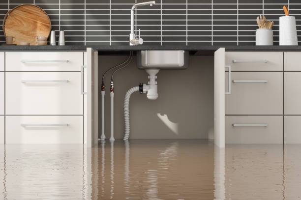 Best Commercial water damage restoration  in Agency Village, SD