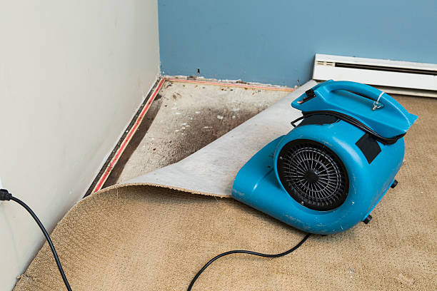  Agency Village, SD Water damage restoration Pros